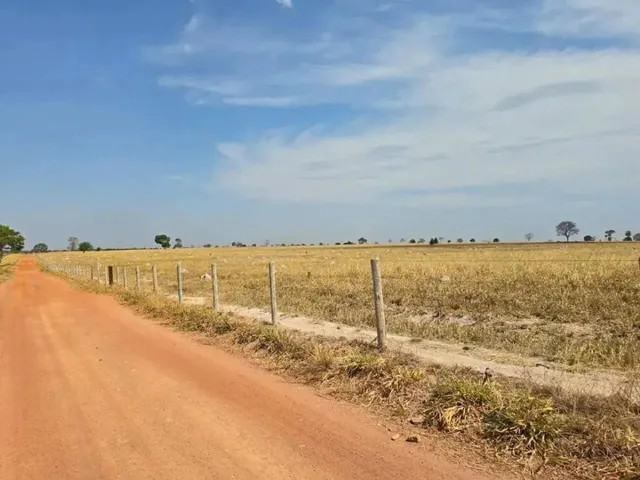 Imagem: Fazenda a Venda, em Mundo Novo - Goiás!