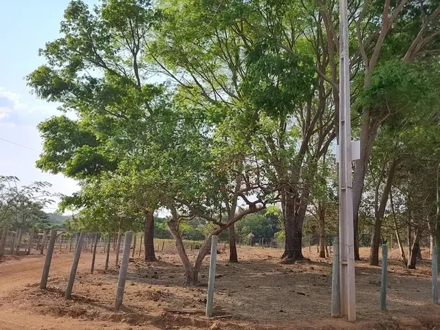 Imagem: Chácara na Gameleira de Goiás