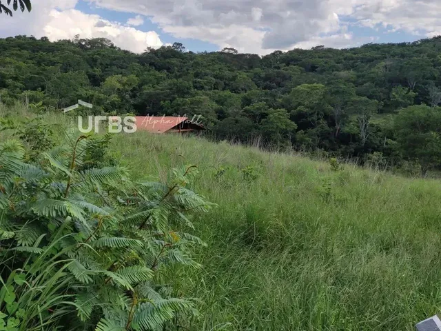 Imagem 2: Excelente Oportunidade de Chácara