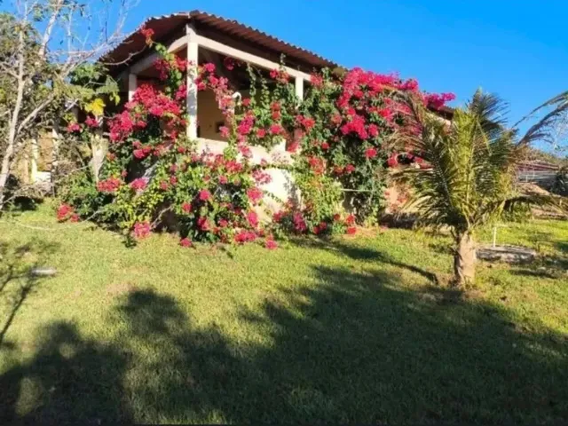 Imagem: A Amp Amp M Imoveis Vende Ou Permuta Fazenda