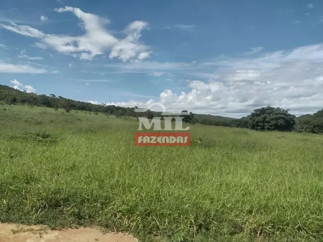 Imagem: Fazenda 26 Alqueires (125,84 Hectares )