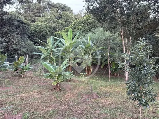 Imagem 4: Chácara de 6,080 M2 em Varjão 7 Km de Chão e de Varjão, Casa com 3 Quartos e 2 Suite