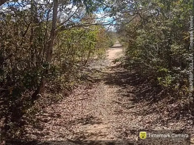 Imagem: Oportunidade Terra Rural