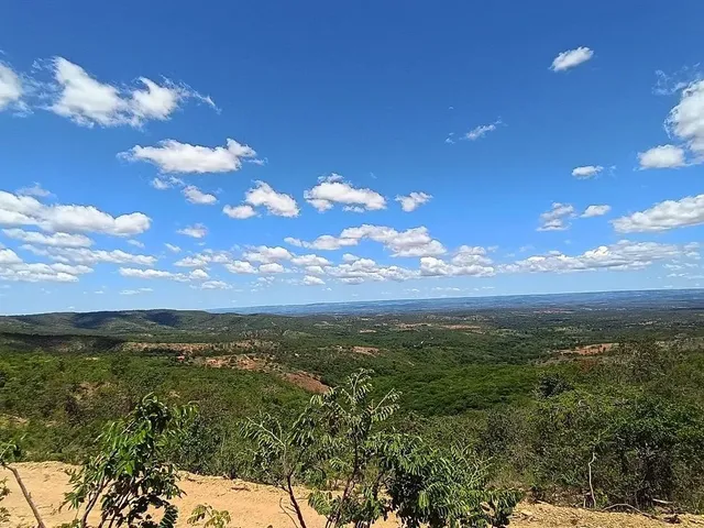 Imagem: Vende-Se 1586 Metros Próximo a Lagoinha