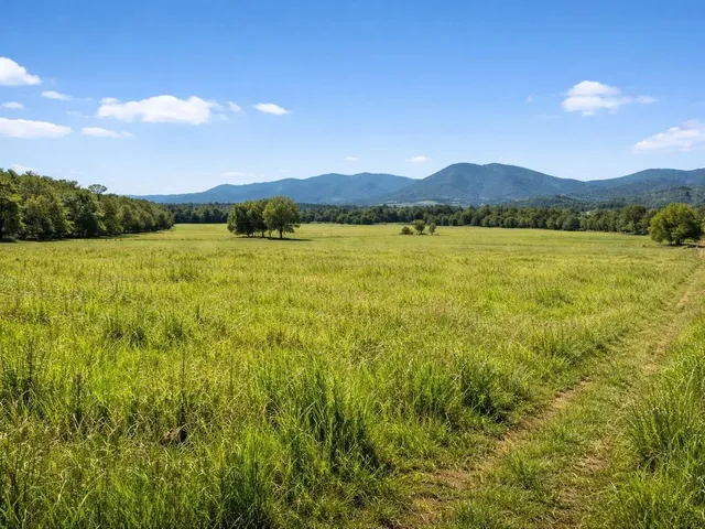 Imagem: Terreno 9 Hectares