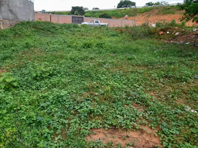 Imagem: Lote Plano Rua João Mendonça Vila Sion