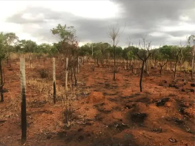 Imagem 2: Gleba em Baldim Chácara com venda por R$35.000