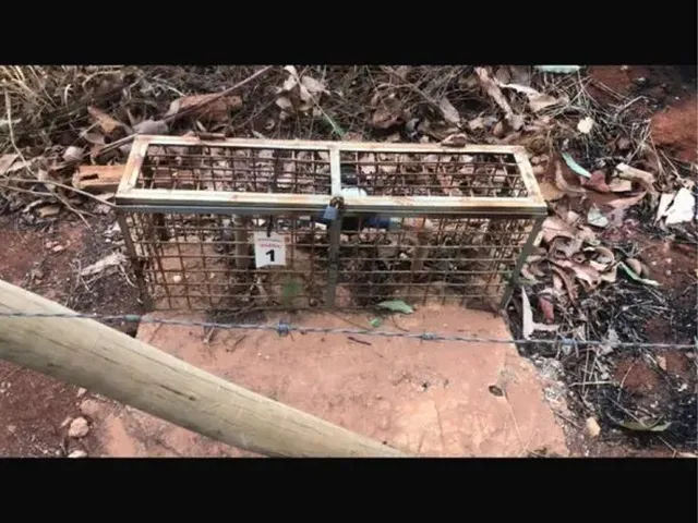 Imagem 5: Gleba em Baldim Chácara com venda por R$35.000