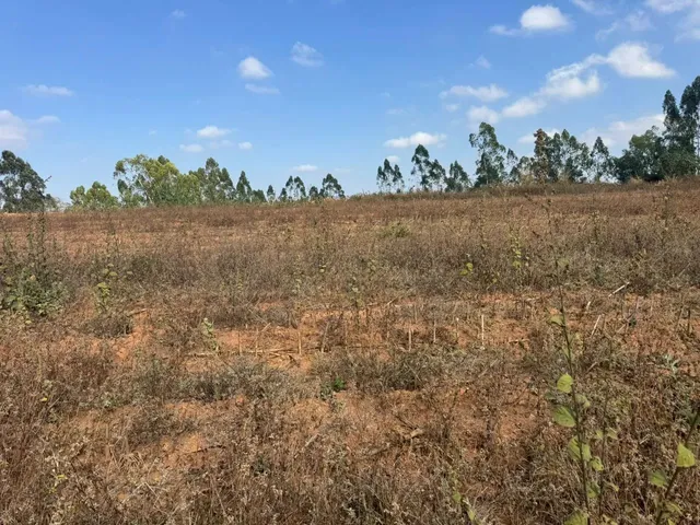 Imagem 6: Chacaras Demarcadas em Serra Azul