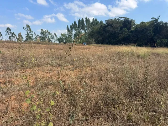 Imagem 7: Chacaras Demarcadas em Serra Azul