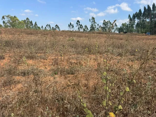 Imagem 8: Chacaras Demarcadas em Serra Azul