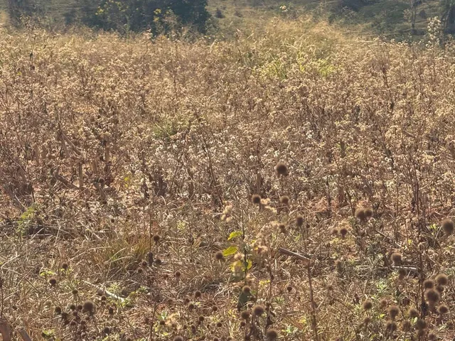 Imagem 9: Chacaras Demarcadas em Serra Azul