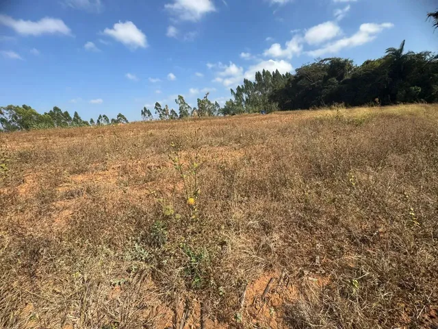 Imagem 13: Chacaras Demarcadas em Serra Azul