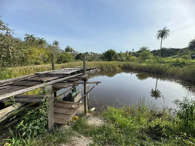 Imagem: Chacara com Lagoa em Betim