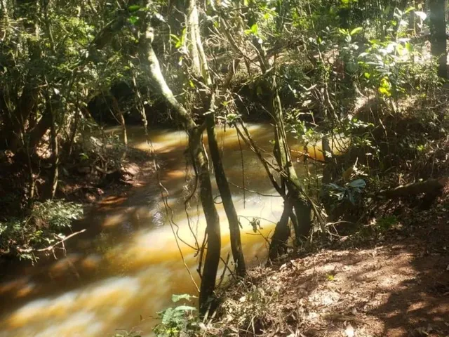 Imagem: Terreno em Serra Azul