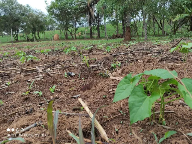 Imagem: Terreno 1.000 M² À Venda - Azurita - Ótima