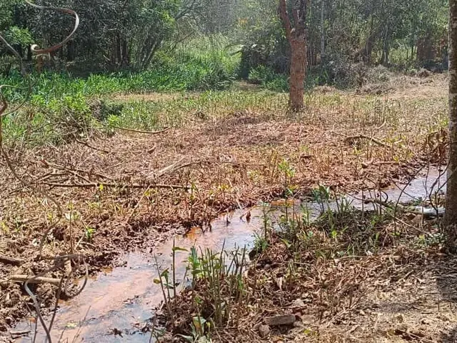 Imagem 6: Terreno com Água em Mateus Leme