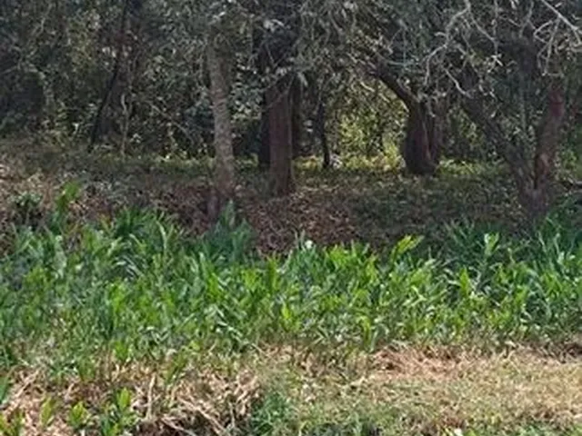 Imagem 3: Terreno com Água em Mateus Leme