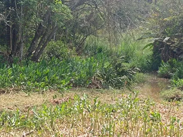 Imagem 5: Terreno com Água em Mateus Leme