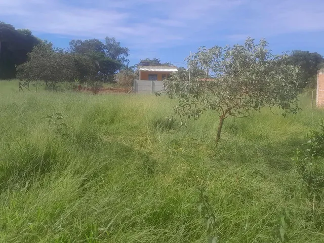 Imagem 6: Terreno com Acesso Asfaltado