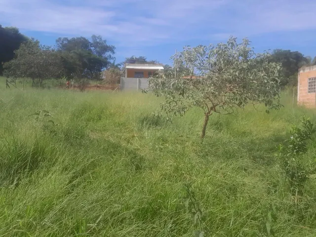 Imagem 4: Terreno com Acesso Asfaltado