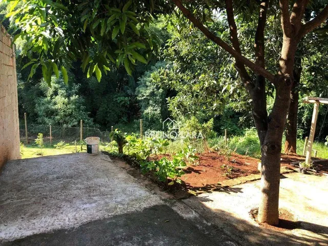 Imagem 2: Sitio À Venda em Igarapé Bairro Miriti