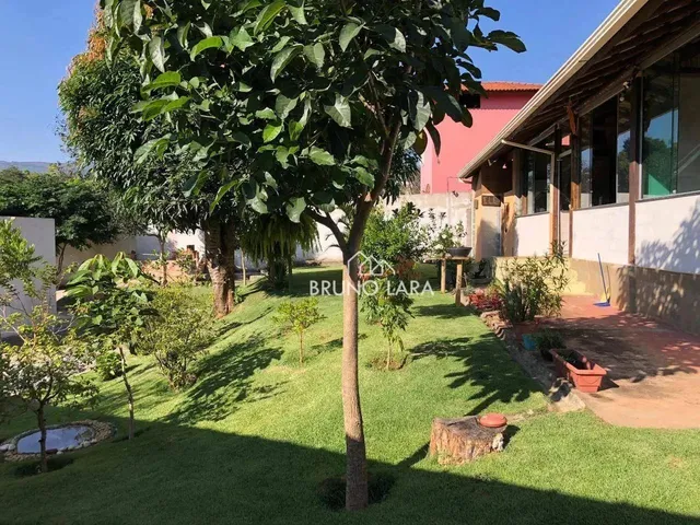 Imagem 11: Sitio À Venda em Igarapé Bairro Miriti