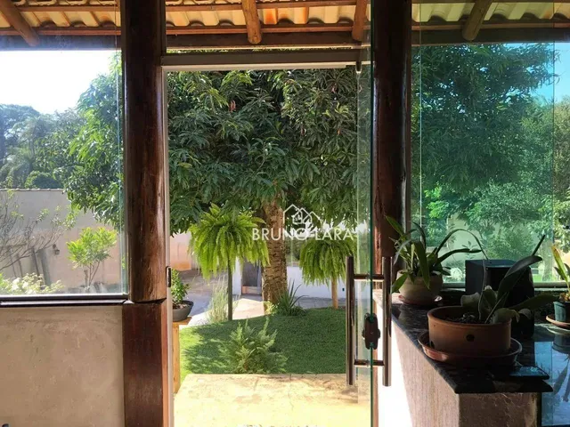 Imagem 13: Sitio À Venda em Igarapé Bairro Miriti