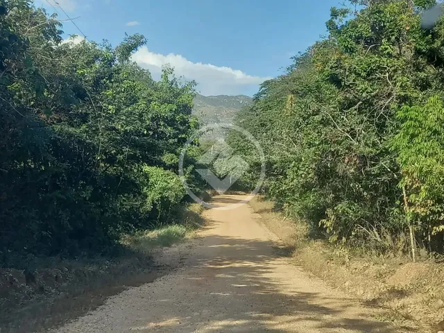 Imagem 10: Terreno na Serra do Cipó Codigo: 151974