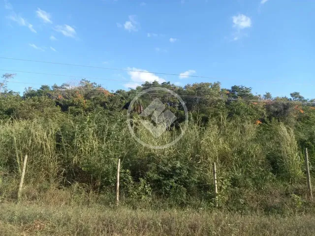 Imagem 2: Terreno na Serra do Cipó Codigo: 151974