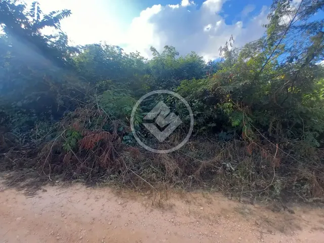 Imagem 11: Terreno na Serra do Cipó Codigo: 151974