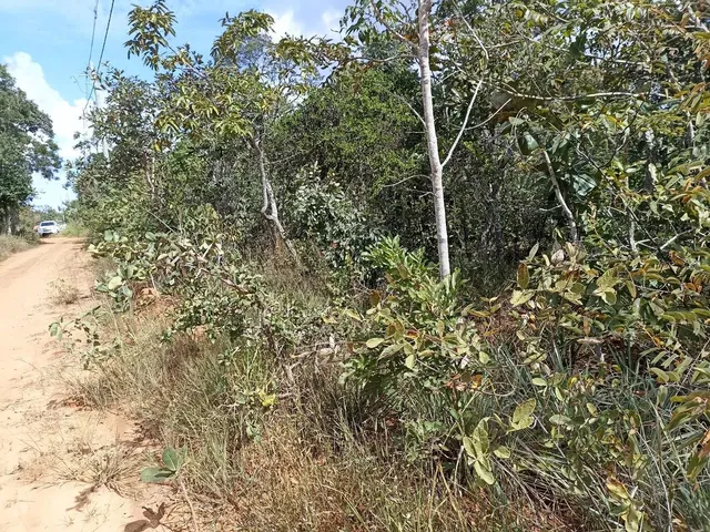 Imagem 3: Vendo Ótimo Terreno em Três Marias/Mg
