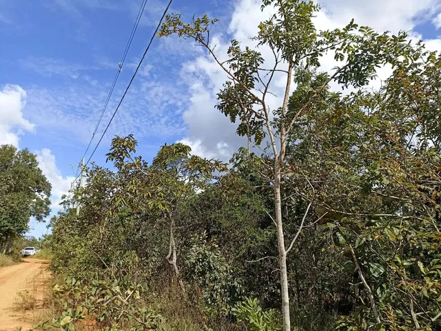 Imagem 4: Vendo Ótimo Terreno em Três Marias/Mg