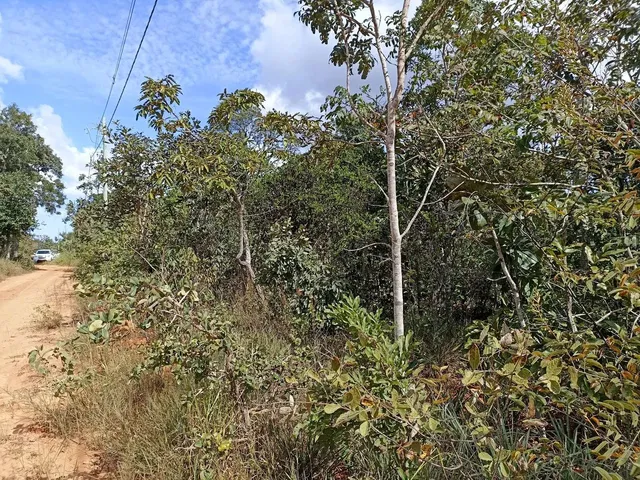 Imagem 12: Vendo Ótimo Terreno em Três Marias/Mg