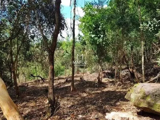 Imagem 9: Lote - 1.000M²- Vila Alpina- Nova Lima/Mg