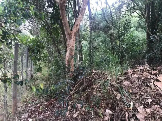 Imagem 11: Lote - 1.000M²- Vila Alpina- Nova Lima/Mg