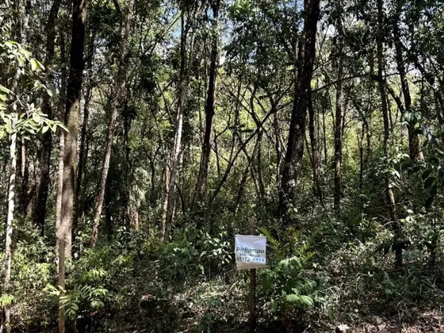 Imagem 6: Lote no Condominio Pasargada 1.100M2