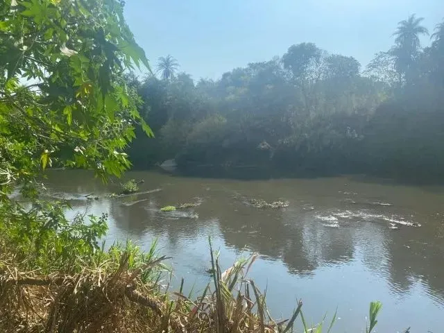 Imagem 2: Chácara de 20.000M² em Florestal - Mg