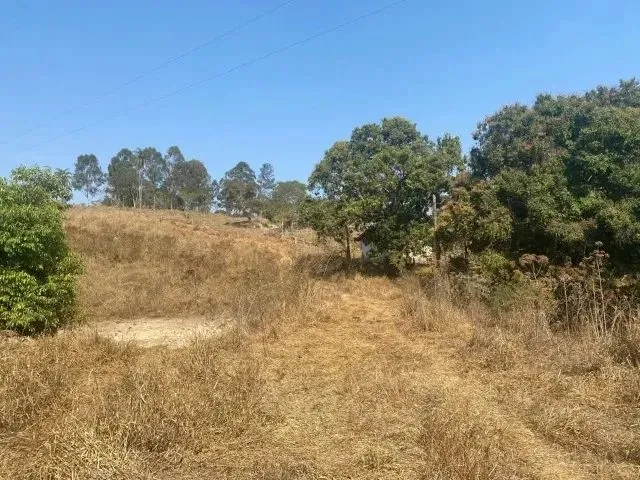Imagem 4: Chácara de 20.000M² em Florestal - Mg