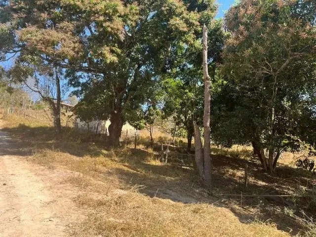 Imagem 6: Chácara de 20.000M² em Florestal - Mg