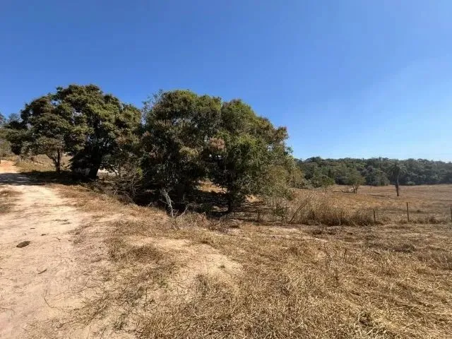 Imagem 8: Chácara de 20.000M² em Florestal - Mg