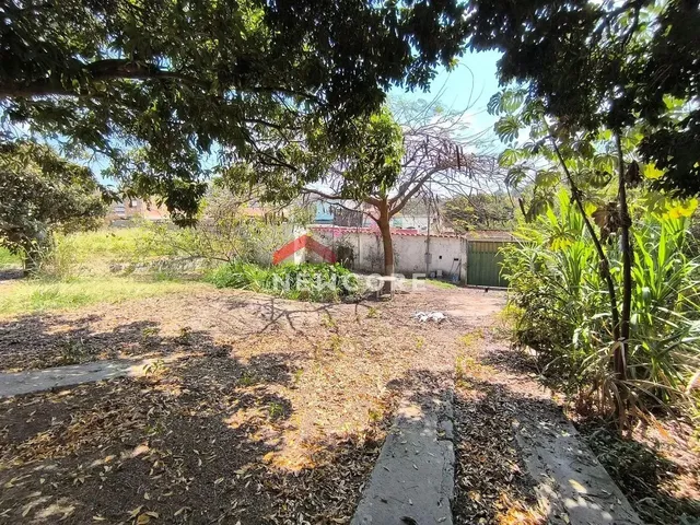 Imagem: Lote em Rua Maria Adelaide - Veneza - Ribeirão