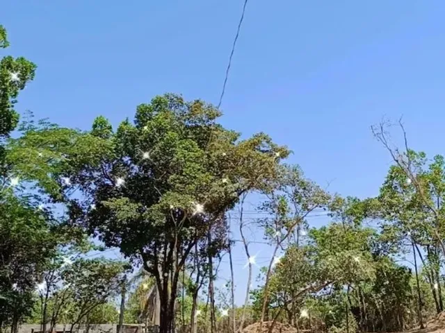 Imagem: Sítio