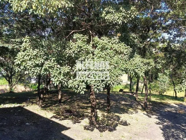 Imagem: Lote Venda Tropical