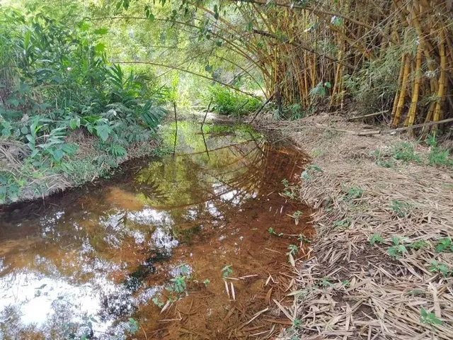 Imagem 10: Sítio À Venda ? 2.7 Hectare