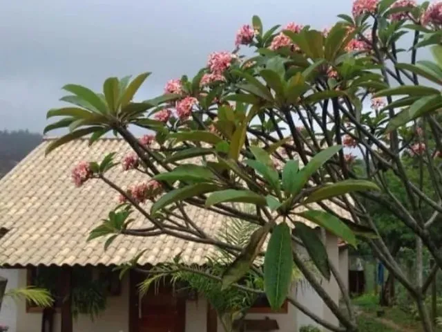 Imagem 9: Sitio em Estilo Rústico em Lote de 2.070M², em Condomínio com Portaria 24H