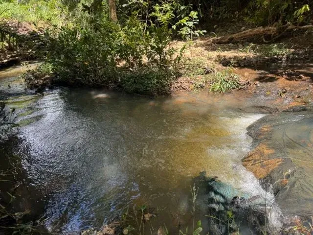 Imagem 12: Sítio Rural de 5.000M² em Jaboticatubas, Divisa com Baldim!