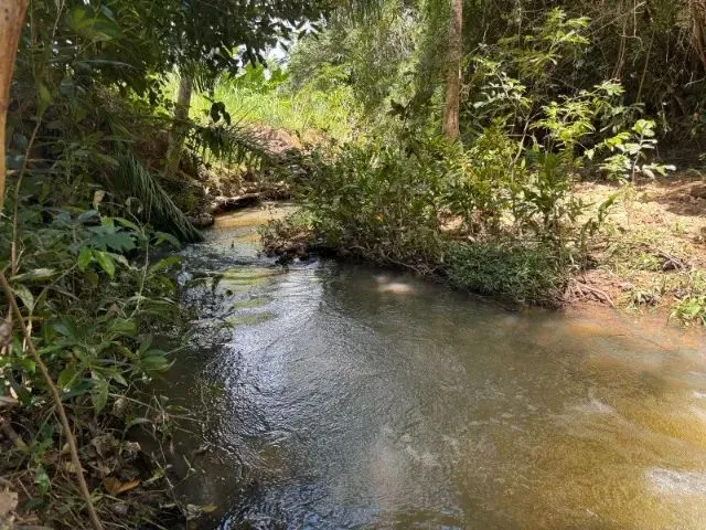 Imagem 14: Sítio Rural de 5.000M² em Jaboticatubas, Divisa com Baldim!