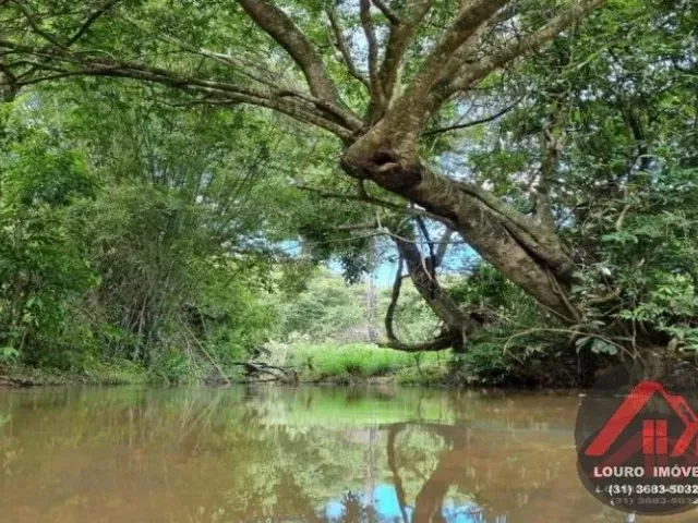 Imagem 16: Sítio Rural de 5.000M² em Jaboticatubas, Divisa com Baldim!