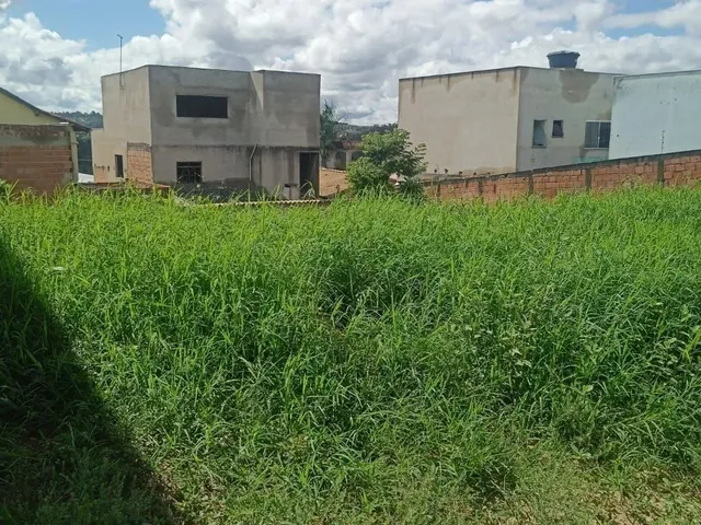 Imagem 2: Excelente Lote 250 Metros